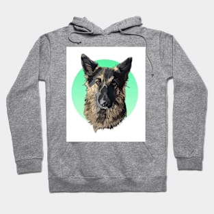 Pitbull Hoodie